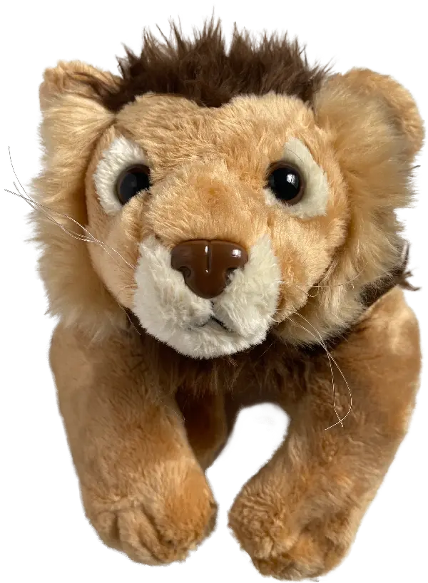 Megavoice Wildlife Storytellers