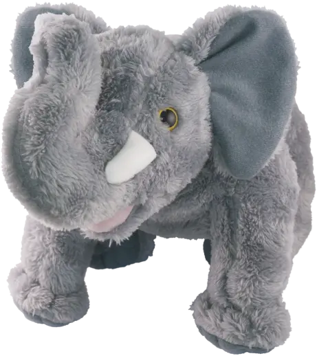 Megavoice Wildlife Storytellers