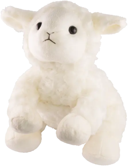 Megavoice Wildlife Storytellers