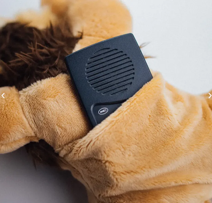 Wildlife Storytellers - Image 2